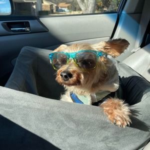 Meet your Posher, Wendy